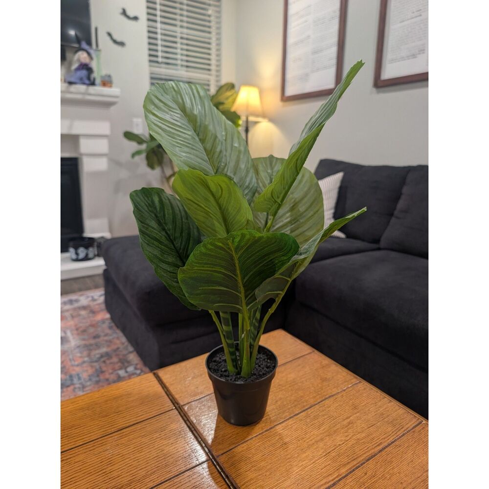 Artificial Calathea Plant in Black Pot, Faux Tropical Greenery
